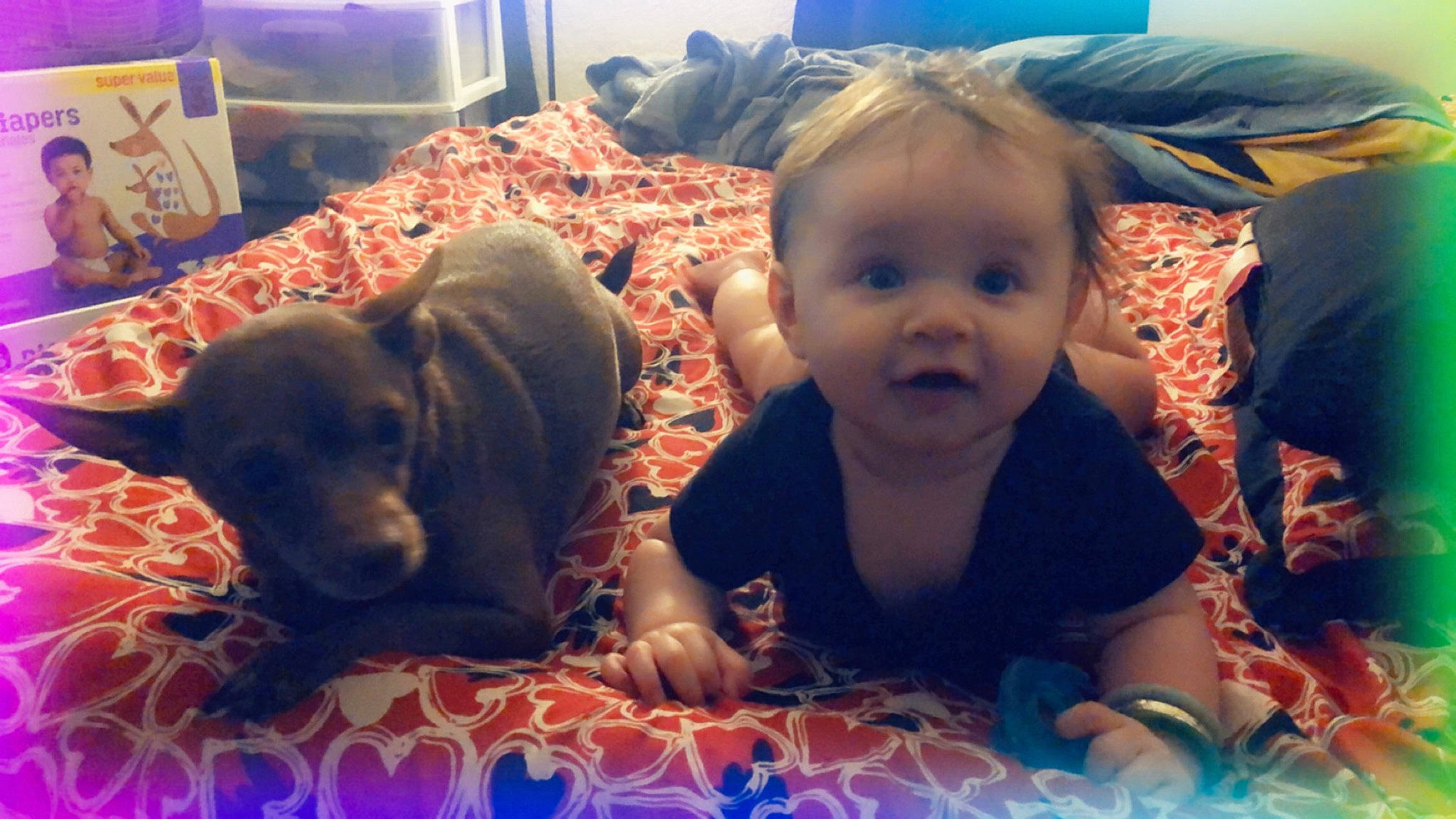 Skarlett-viktoria joined the competition — help win amazing prizes! baby, blurred, canidae, carnivore, child, companion_dog, dog, dog_breed, ear, family, happy, people, person, play, puppy, puppy_love, sharing, smile, sporting_group, toddler