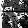animal, black_and_white, cage, cat, close_up, curious, domestic, eyes, feline, fur, indoor, kitten, metal, pattern, pets, playful, portrait, whiskers, wire_basket, young