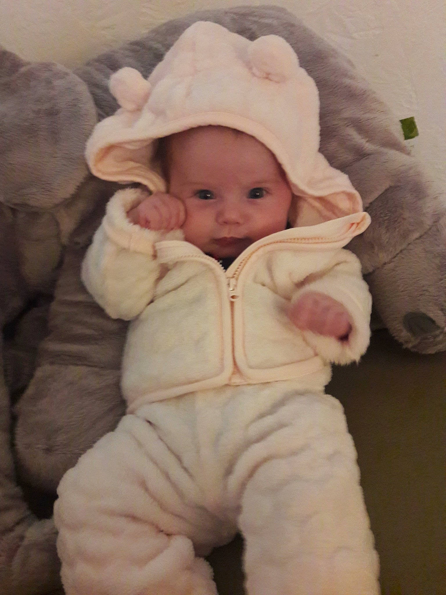 Leyana a rejoint le concours — aidez-le/la à gagner de superbes lots ! child, ear, fur, infant, person, product, skin, textile, toddler