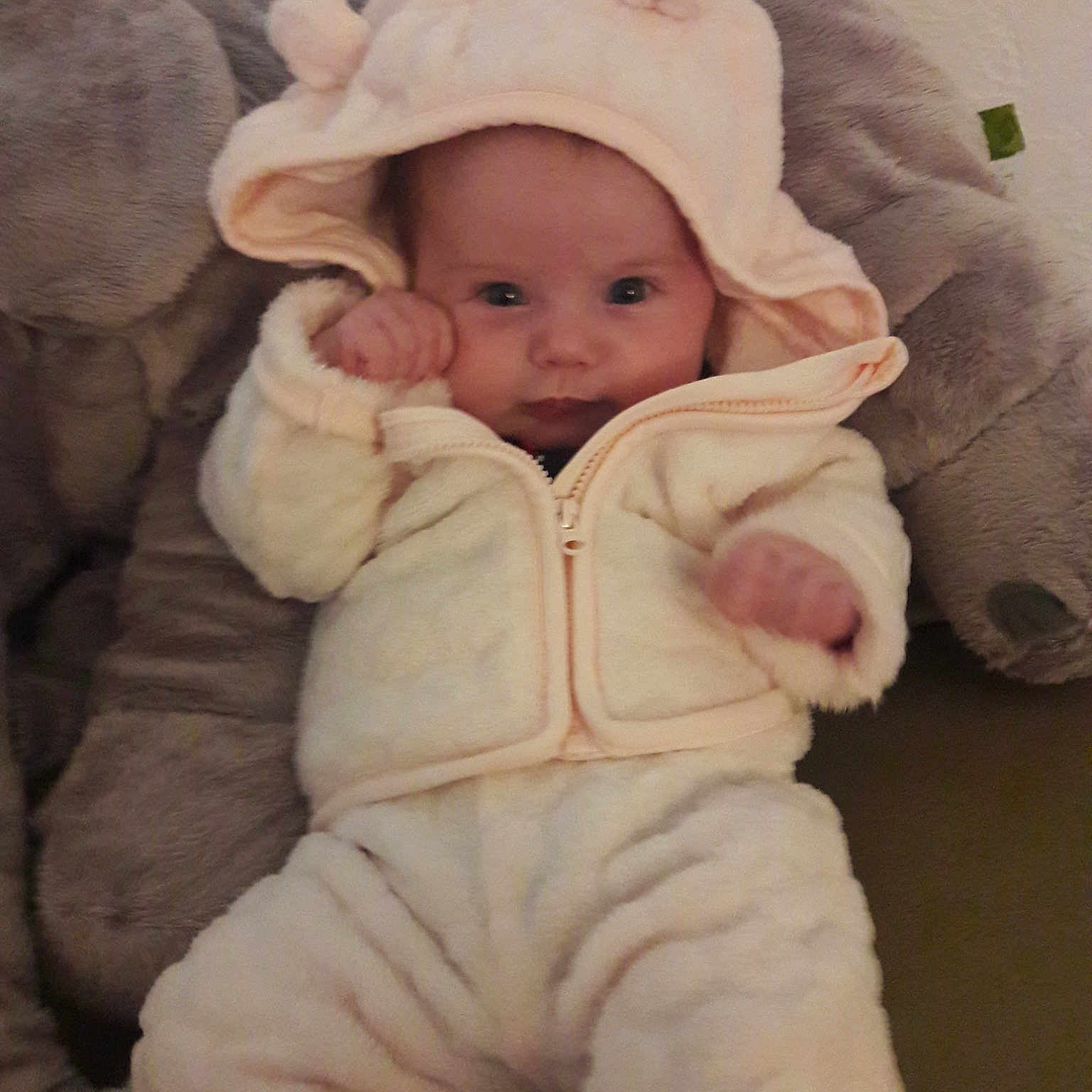 Leyana a rejoint le concours — aidez-le/la à gagner de superbes lots ! child, ear, fur, infant, person, product, skin, textile, toddler