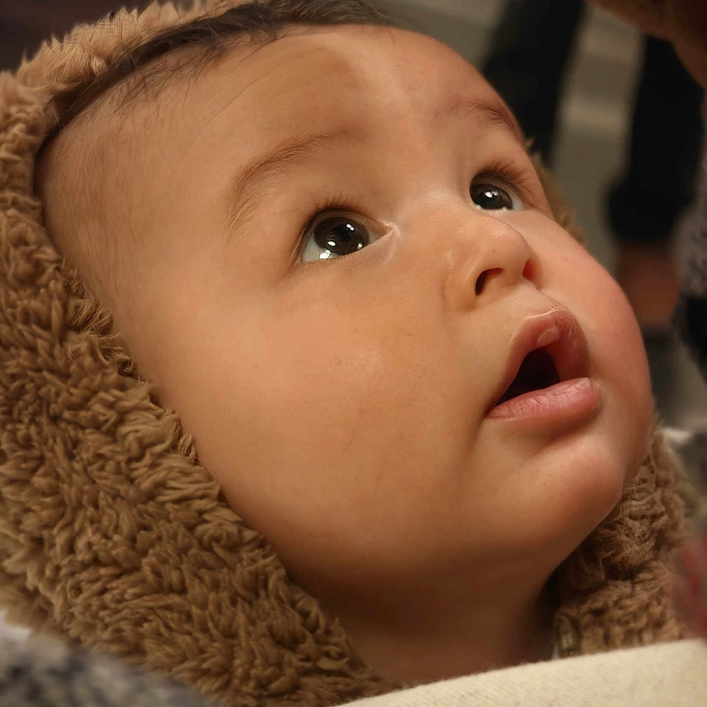 Baptiste participe au concours pour gagner de l'argent avec cette photo : adorable, baby, child, close_up, curious, cute, expression, eyes, face, fuzzy, hood, indoor, infant, lips, looking_up, portrait, skin, soft, warm, young