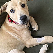 Jake is registered to the contest to win money with this photo:
