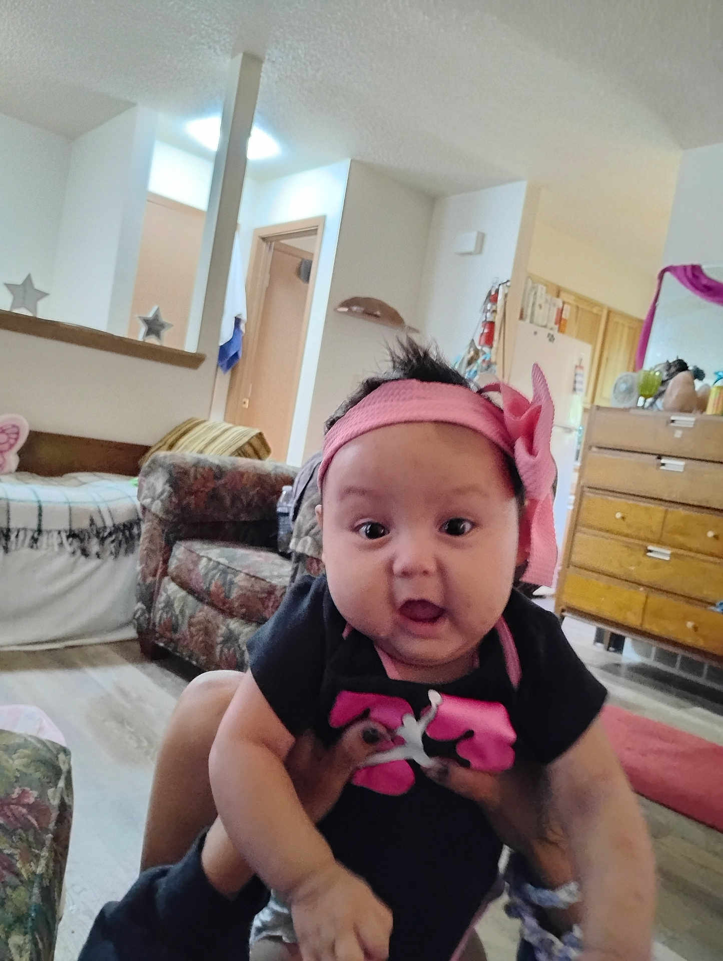 Canary joined the competition — help win amazing prizes! accessories, architecture, baby, building, cabinet, clothing, couch, cushion, face, furniture, hat, head, indoors, interiordesign, livingroom, person, photography, portrait, room, wood