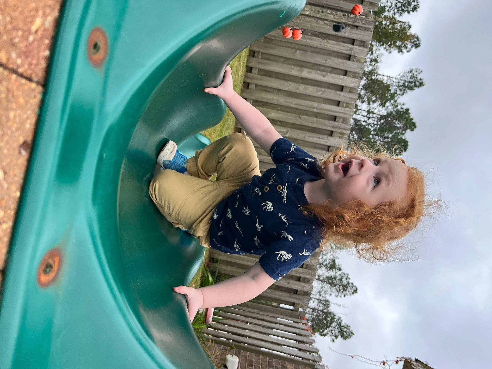 Jax joined the competition — help win amazing prizes! automotive_exterior, automotive_tire, child, chute, city, electric_blue, fun, grass, green, happy, leisure, motor_vehicle, outdoor_play_equipment, people_in_nature, person, playground, playground_slide, recreation, sky, surprise