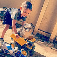 Flugoddess joined the competition — help win amazing prizes! baby, baby_carriage, carnivore, child, companion_dog, electric_blue, fawn, floor, flooring, fun, happy, leisure, musical_instrument, play, rolling, sitting, t_shirt, tire, toddler, wheel