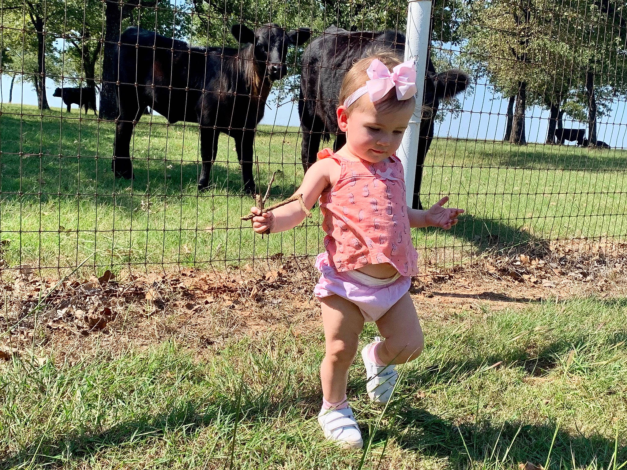 Joanna joined the competition — help win amazing prizes! baby, baby_toddler_clothing, child, horse, horse_supplies, leg, livestock, mammal, people_in_nature, person, play, ranch, shoe, shorts, sneakers, summer, toddler, working_animal