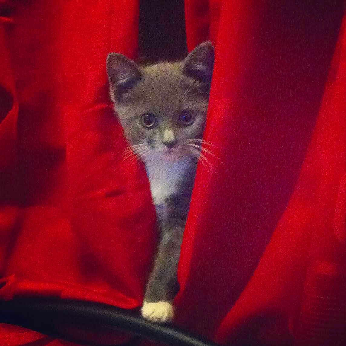 Lucille is registered to the contest to win money with this photo: