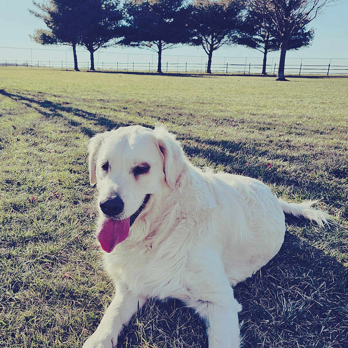 Jax