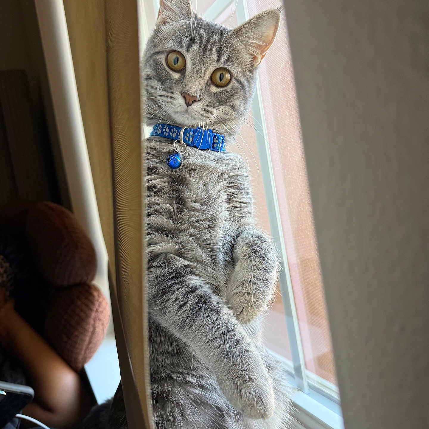 Stormi