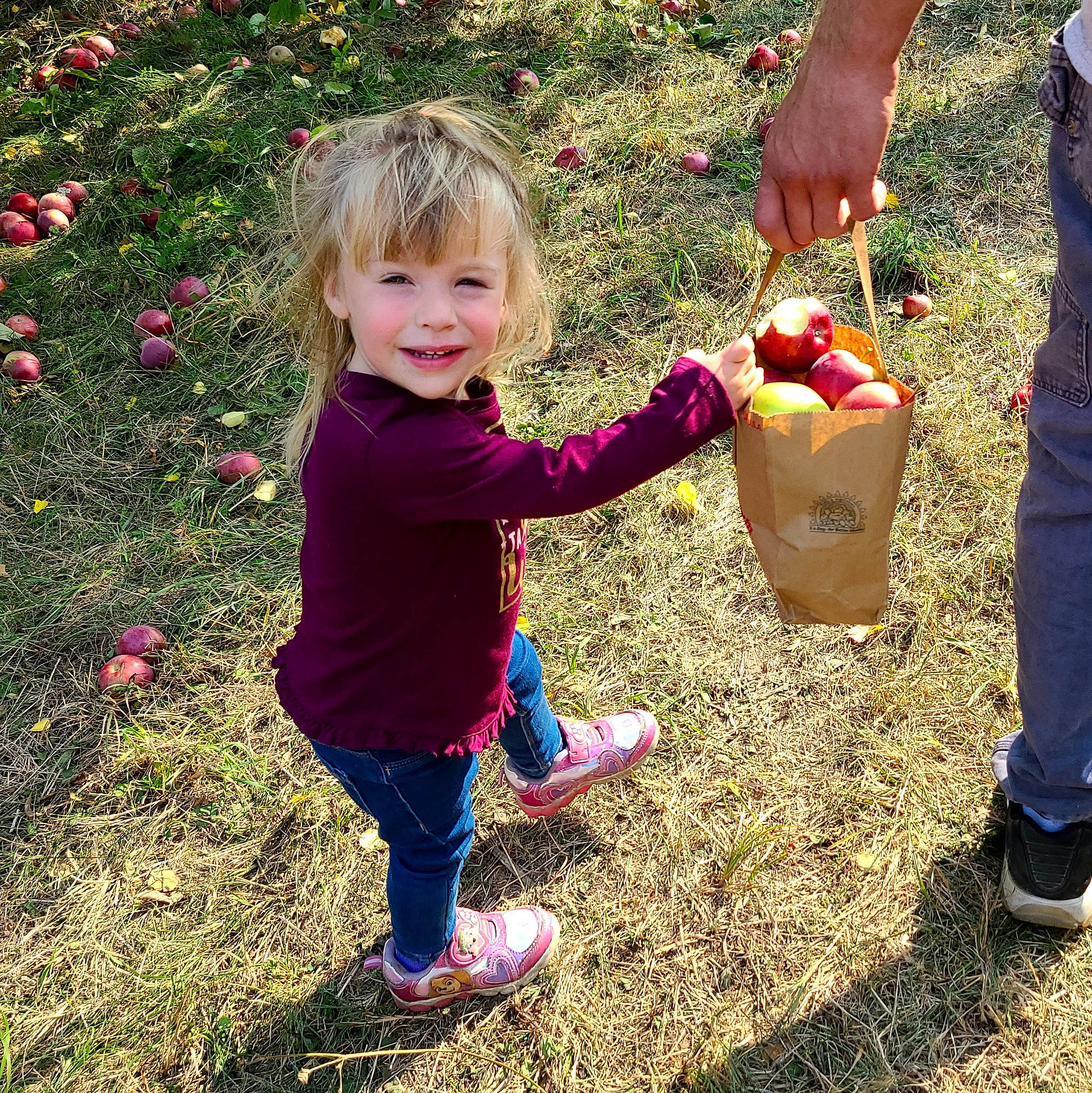 Brylee is registered to the contest to win money with this photo: apple, child, food, fruit, grass, joy, local_food, person, plant, play, soil, toddler, tree, vegetable