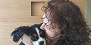 Aïko participe au concours pour gagner de l'argent avec cette photo : affection, animal, black_clothing, black_fur, brown_fur, closeup, companion, cuddle, curly_hair, dog, face, indoor, love, person, pet, portrait, puppy, white_fur, woman, wooden_background