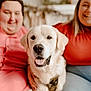 Frost joined the competition — help win amazing prizes! animal, casual_clothing, companionship, couch, dog, family, friendship, golden_retriever, happy, home_decor, indoor, people, person, pet, portrait, sitting, smiling, tongue_out, warm_lighting, wreath