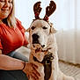 antlers, carpet, companion, cute, dog, domestic_animal, festive, happy, harness, holiday, indoor, light, natural_light, pet, portrait, red_shirt, reindeer_antlers, smiling, white_dog, woman