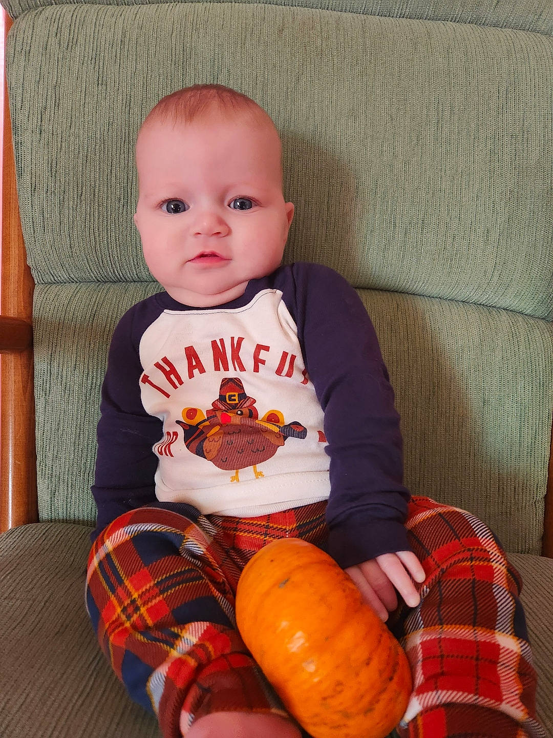 Emilia is registered to the contest to win money with this photo: baby, baby_toddler_clothing, calabaza, cheek, clothing, cucurbita, eye, facial_expression, gourd, head, orange, person, plaid, pumpkin, sleeve, squash, t_shirt, tartan, toddler, vegetable