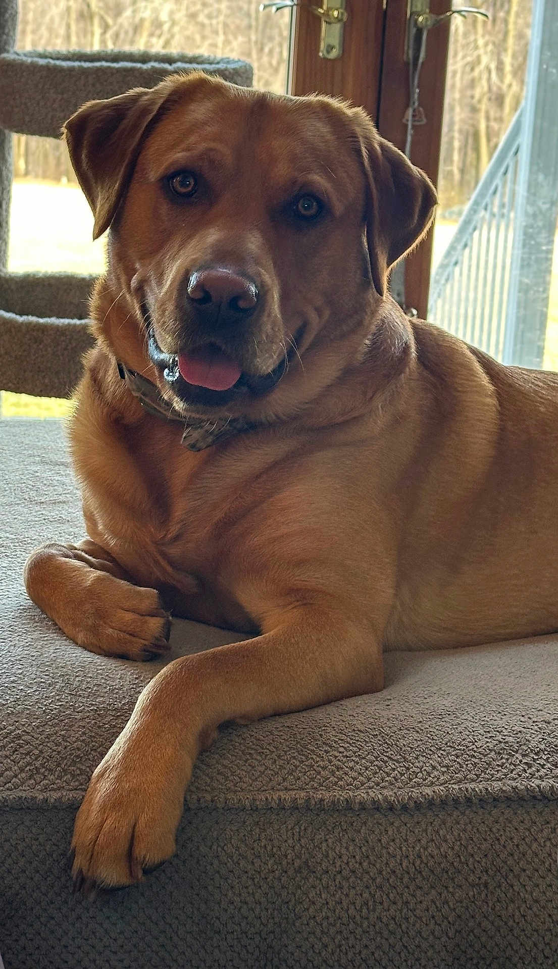 Gunner