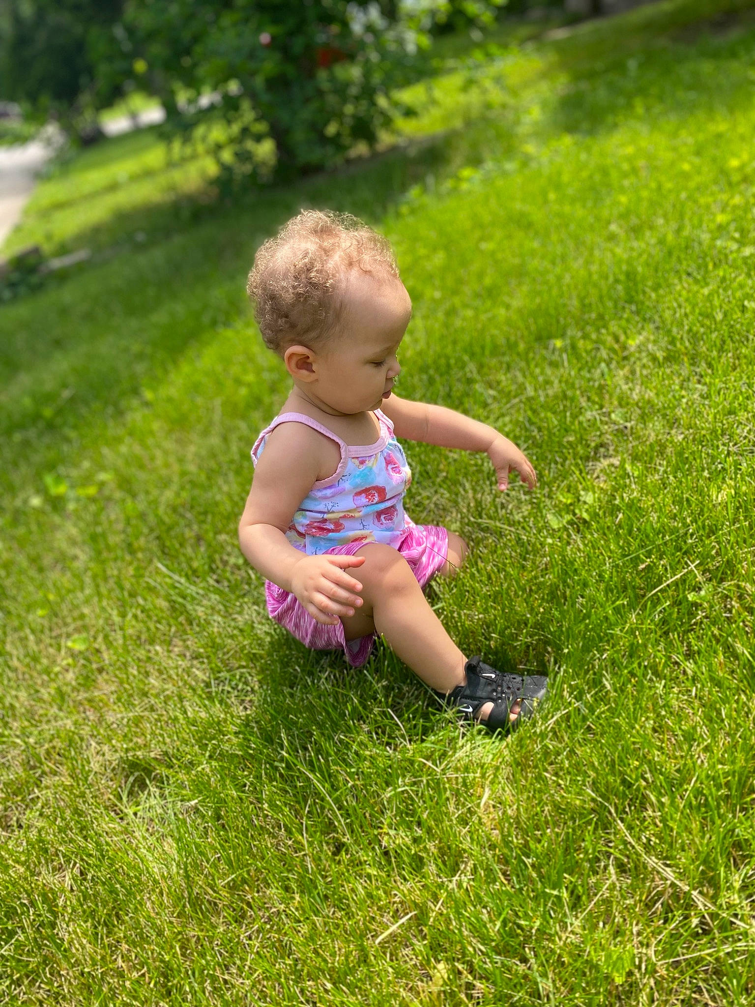 Bella joined the competition — help win amazing prizes! baby, baby_toddler_clothing, fun, grass, grass_family, grassland, groundcover, happy, landscape, lawn, leisure, mammal, meadow, people_in_nature, person, plant, recreation, shorts, sunlight, terrestrial_plant