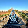 child, clothing, curious, daytime, grass, hoodie, mickey_mouse, nature, outdoor, path, person, rural, seatbelt, sky, snack, sunny, toddler, toy_car, trees, vehicle