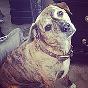 Teco is registered to the contest to win money with this photo: