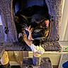 calico_cat, cat, cat_tree, cozy, cute, feline, fur, home, indoor, paws, pet, pet_furniture, portrait, relaxed, resting, scratching_post, sleeping, tricolor, warm_lighting, whiskers