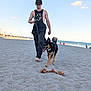 beach, dog, man, leash, sand, rope_toy, sky, water, ocean, barefoot, casual_clothing, tattoos, cap, sunlight, outdoor, pet, walking, happy, summer, shore