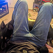 Achilles is registered to the contest to win money with this photo: black_dog, book, carpet, casual, clothing, couch, dog, ear, face_part, floor, footwear, furniture, home, indoor, jeans, legs, living_room, person, relaxation, toy