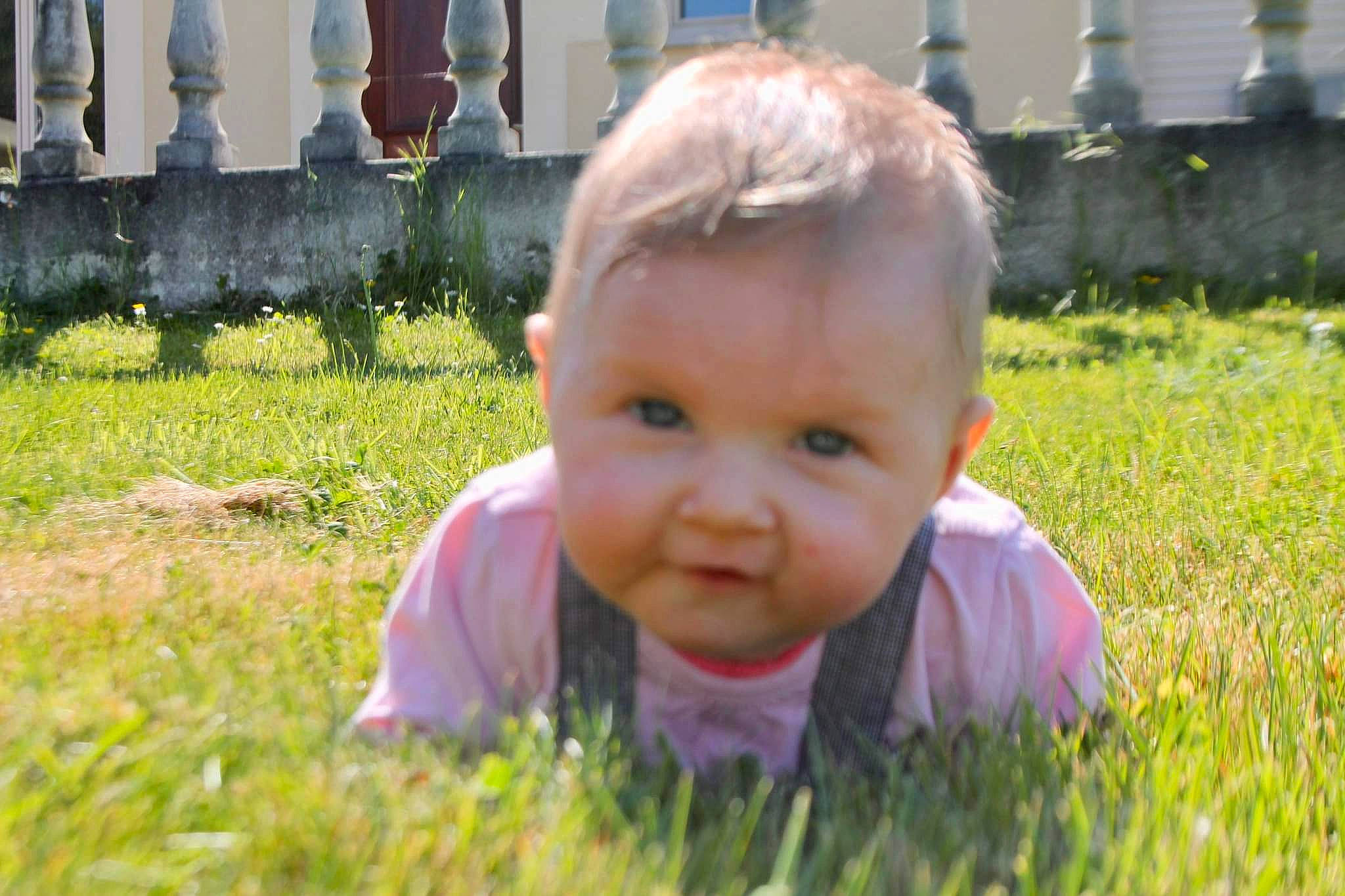 Lucy a rejoint le concours — aidez-le/la à gagner de superbes lots ! baby, baby_toddler_clothing, child, eye, fun, garden, grass, grass_family, grassland, happy, iris, lawn, leisure, nose, people_in_nature, person, plant, sitting, spring, toddler