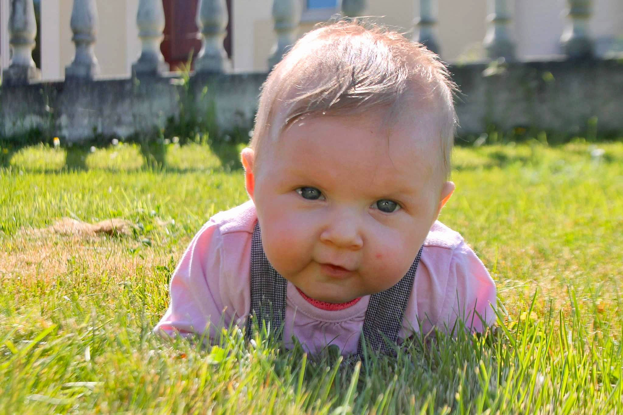 Lucy a rejoint le concours — aidez-le/la à gagner de superbes lots ! baby, baby_toddler_clothing, child, flooring, fun, grass, grassland, happy, iris, leisure, meadow, nose, people_in_nature, person, plant, prairie, recreation, smile, toddler, tree