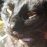 Spooky joined the competition — help win amazing prizes!