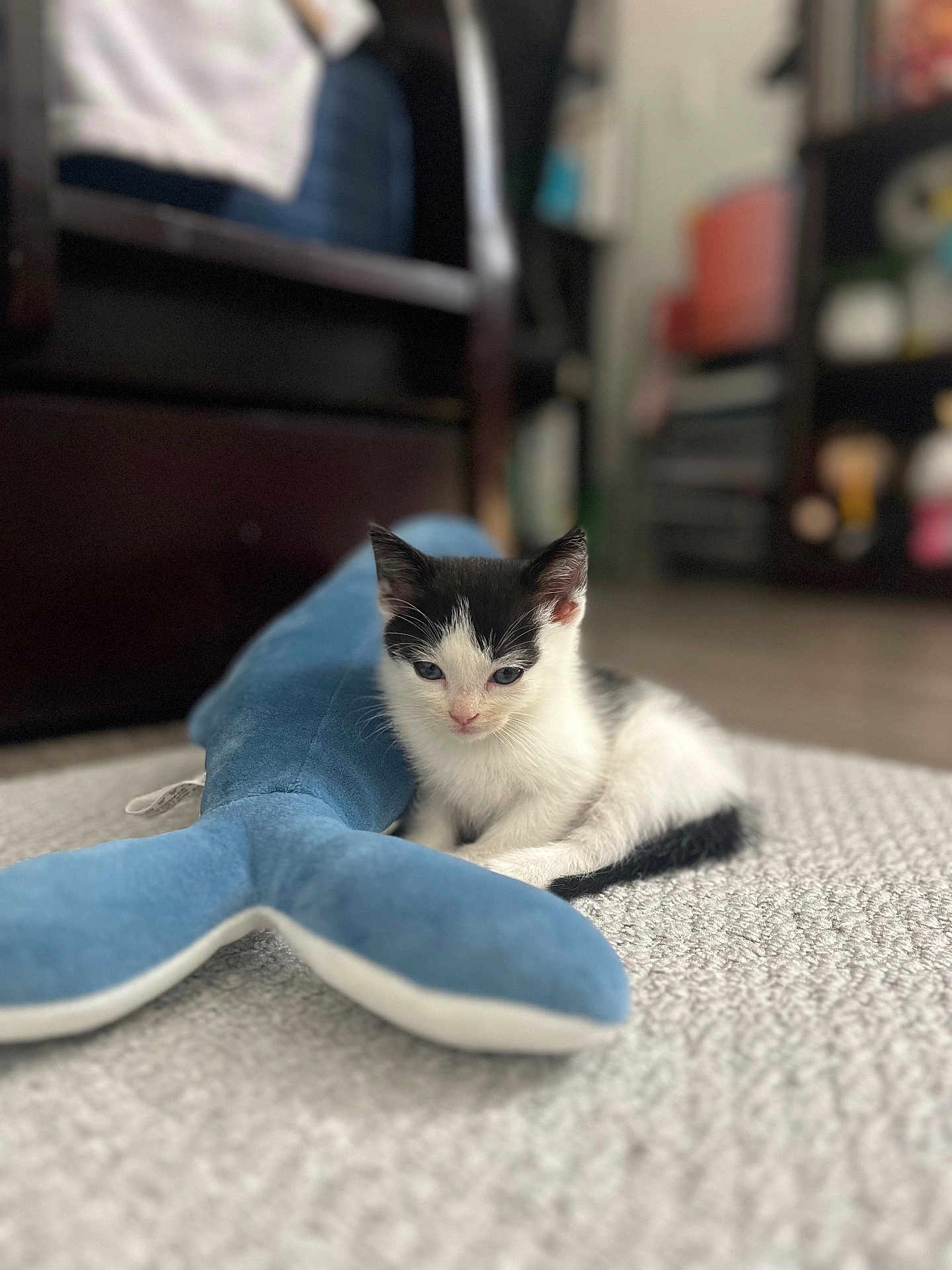 Benji
