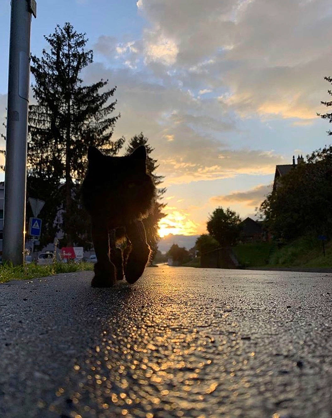 Zlatko a rejoint le concours — aidez-le/la à gagner de superbes lots ! asphalt, cloud, evening, lake, landscape, leaf, morning, photography, plant, reflection, road, road_surface, rock, sky, soil, sunlight, sunset, tints_and_shades, tree, vacation