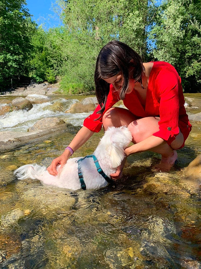 Junior a rejoint le concours — aidez-le/la à gagner de superbes lots ! adventure, fawn, recreation, stream, tree