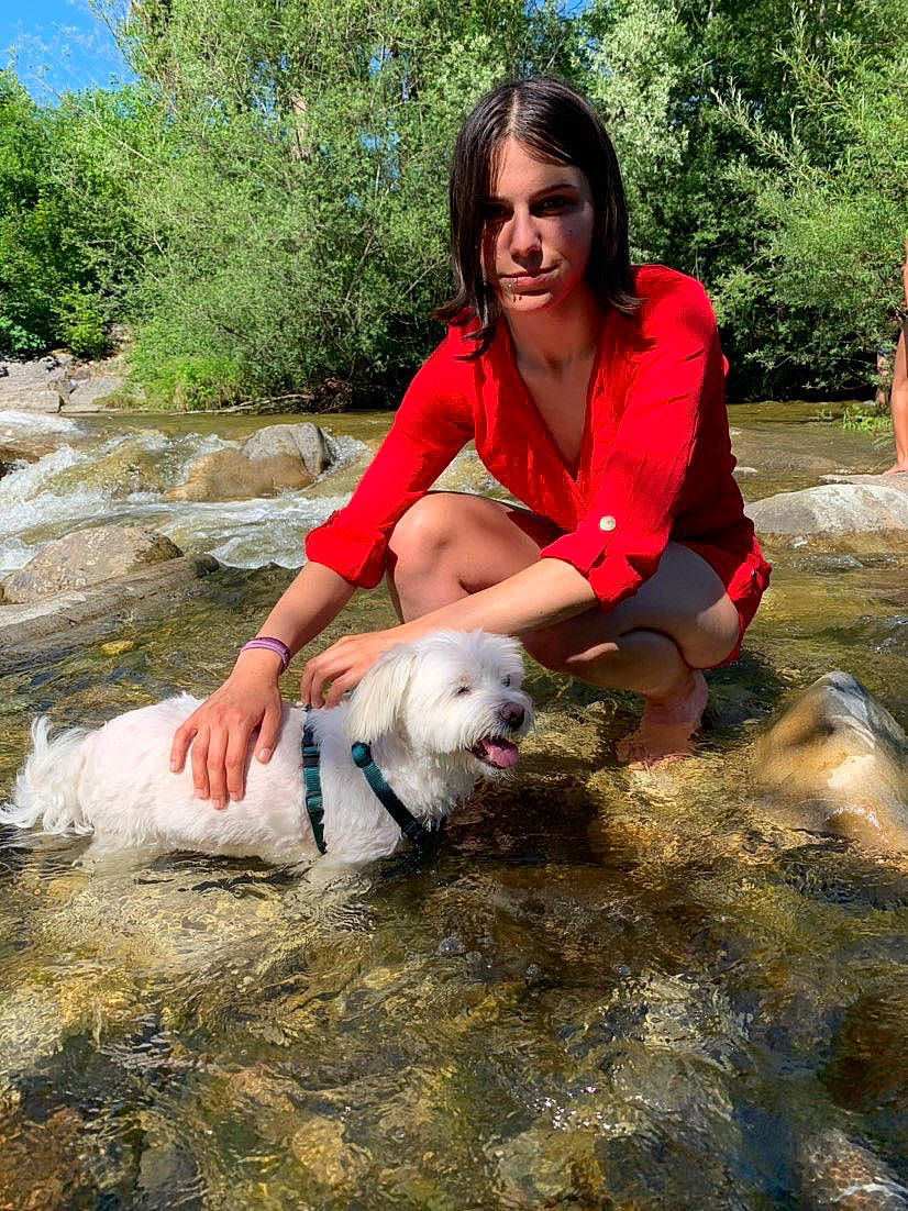 Junior participe au concours pour gagner de l'argent avec cette photo : adventure, canidae, fawn, non_sporting_group