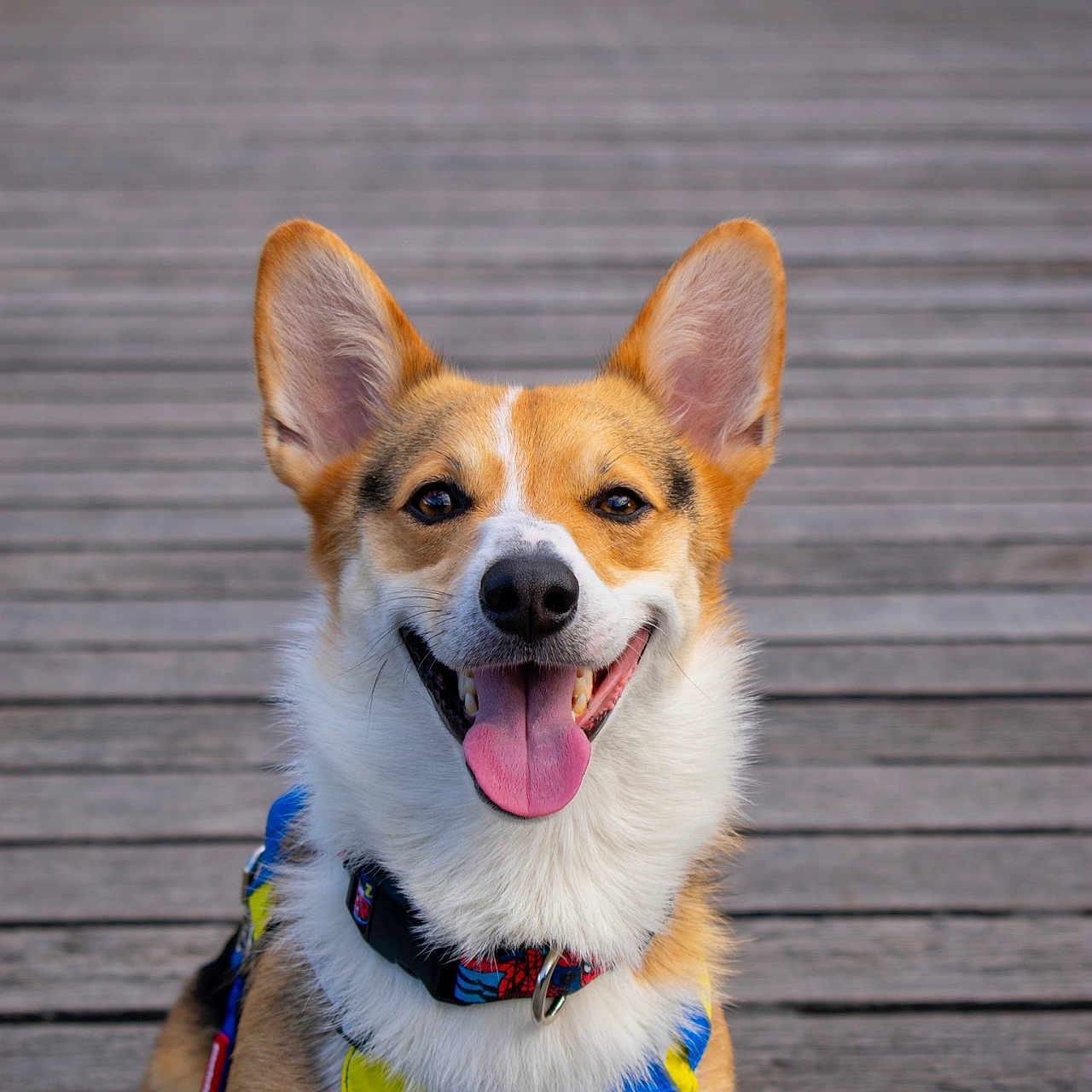 Benson