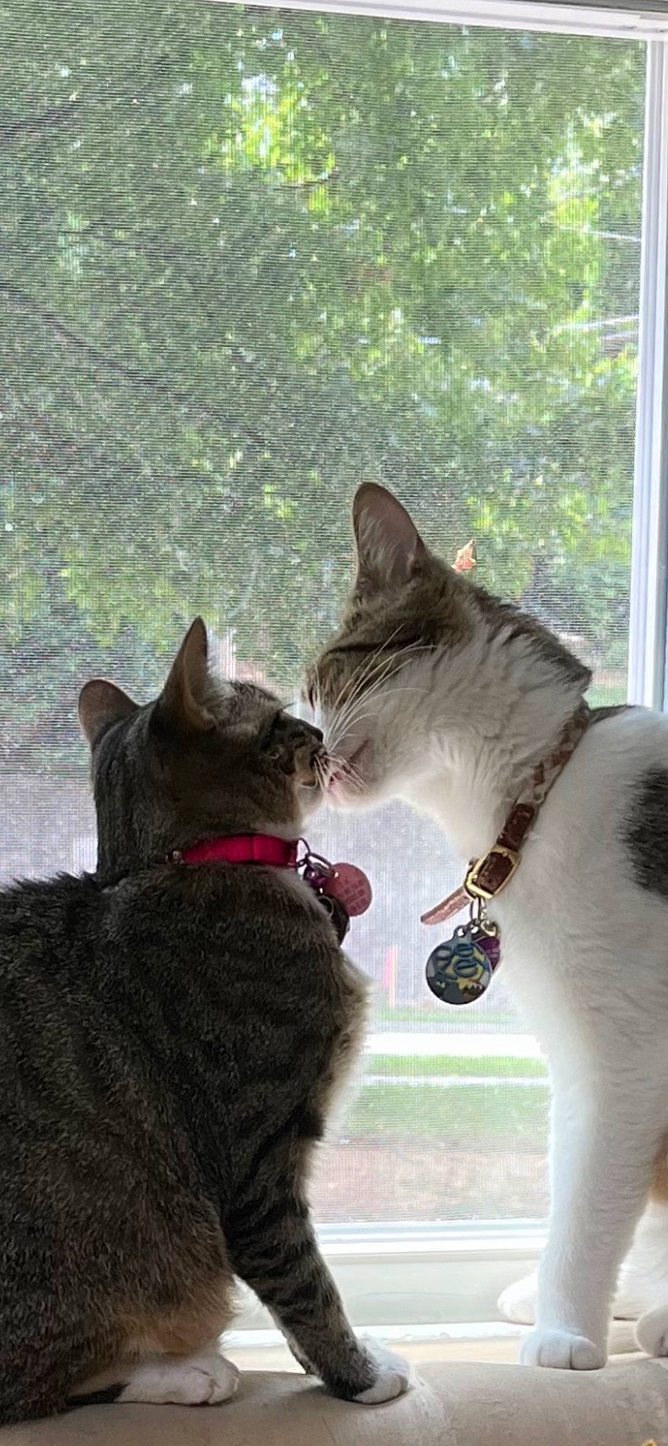 Oliver And Solterra