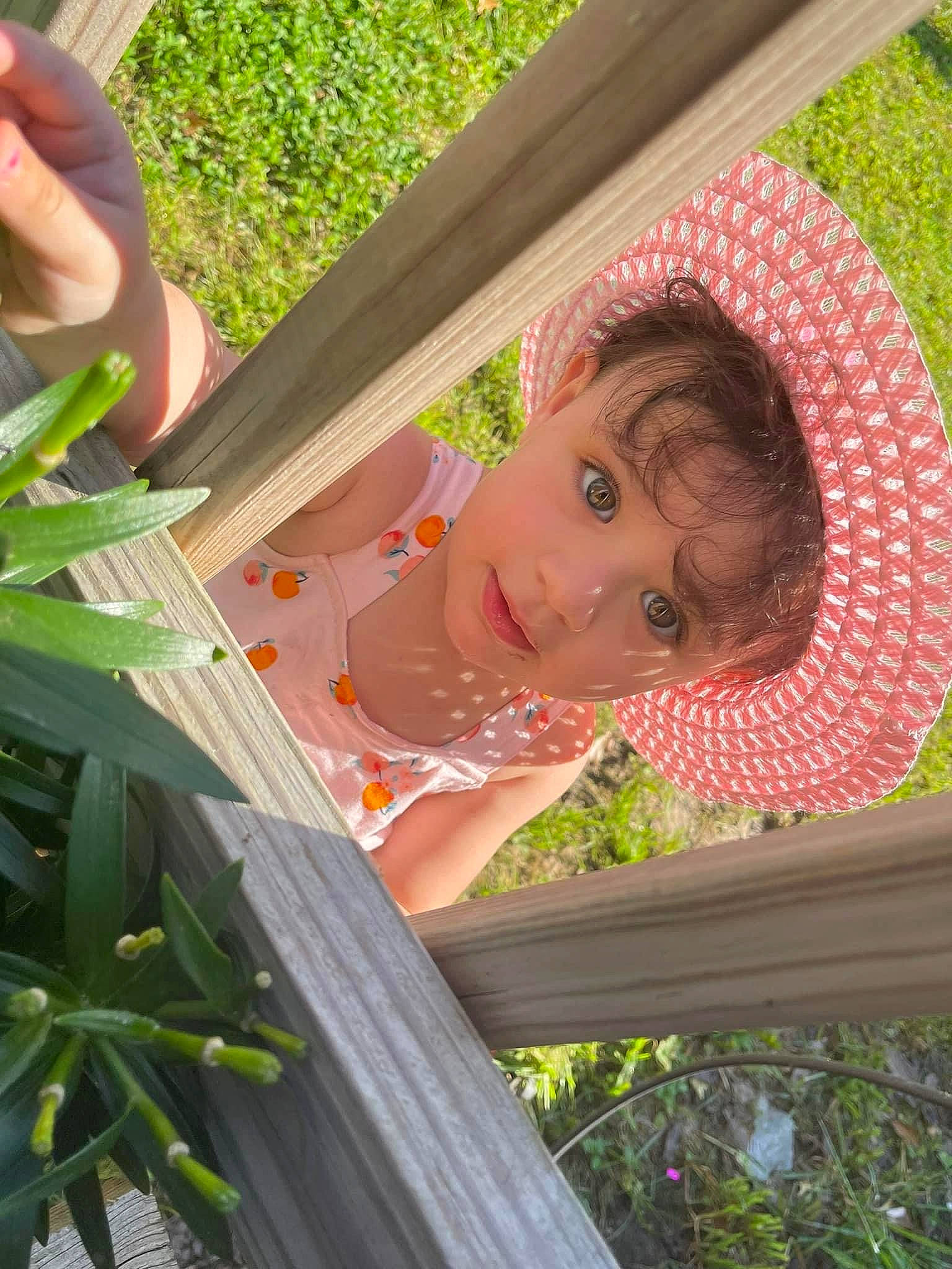 Everleigh joined the competition — help win amazing prizes! botany, child, fun, grass, happy, leaf, leisure, pattern, people_in_nature, person, plant, shade, spring, summer, sunlight, terrestrial_plant, textile, tints_and_shades, tree, vacation