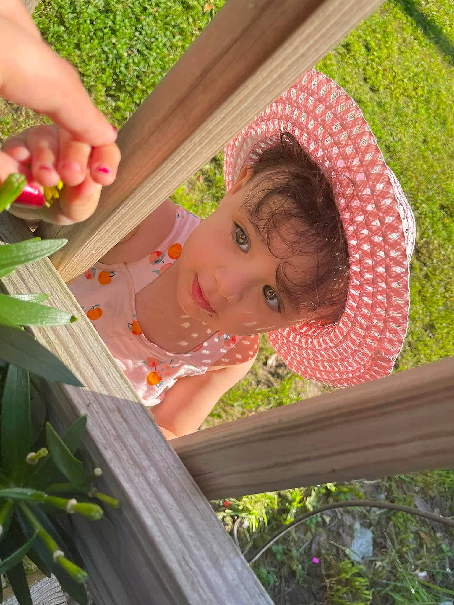 Everleigh is registered to the contest to win money with this photo: child, fun, garden, grass, green, happy, human_leg, leaf, leisure, nail, pattern, people_in_nature, person, plant, plantation, play, shade, sitting, thumb, vacation