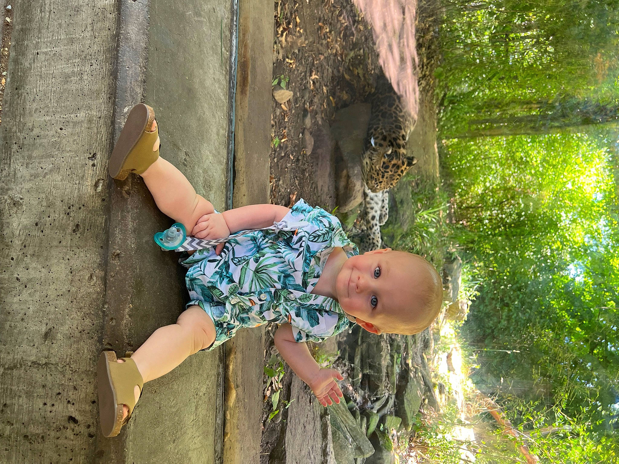Brendon is registered to the contest to win money with this photo: adventure, child, forest, fun, grass, happy, human_leg, joy, jungle, leisure, people_in_nature, person, plant, recreation, sandal, sitting, thigh, toddler, tree, trunk