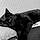 Alfred