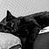 Alfred