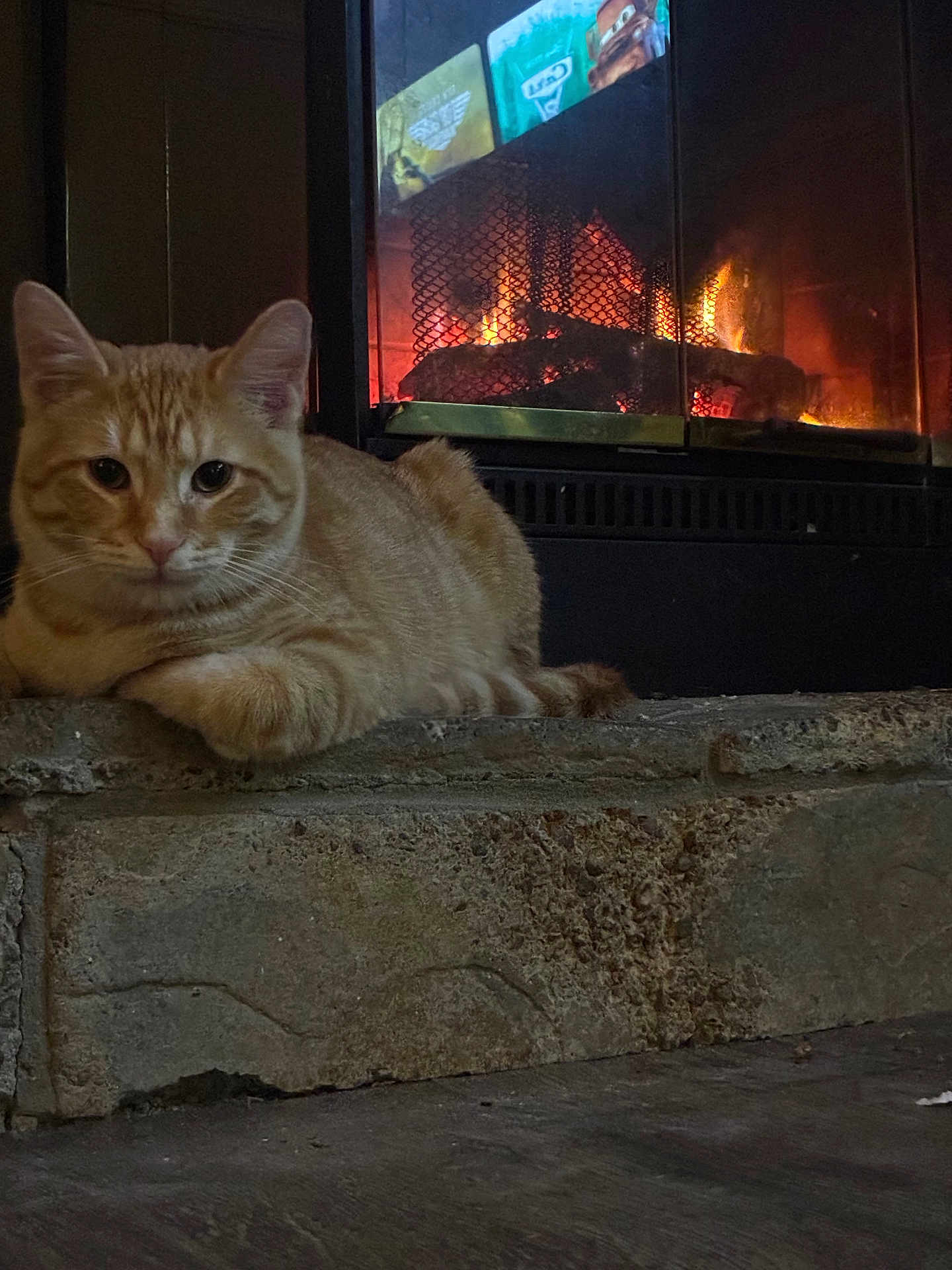 Klyde joined the competition — help win amazing prizes! cat, orange_tabby, fireplace, fire, stone_hearth, indoor, cozy, pet, animal, relaxed, warmth, fur, mammal, home, comfort, resting, cute, domestic_cat, sleepy, quiet