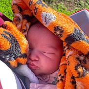 Willow is registered to the contest to win money with this photo: baby, infant, sleeping, portrait, face, closed_eyes, blanket, tiger_pattern, orange, black, pink_clothing, stroller, outdoor, garden, sunlight, cozy, peaceful, resting, close_up, child