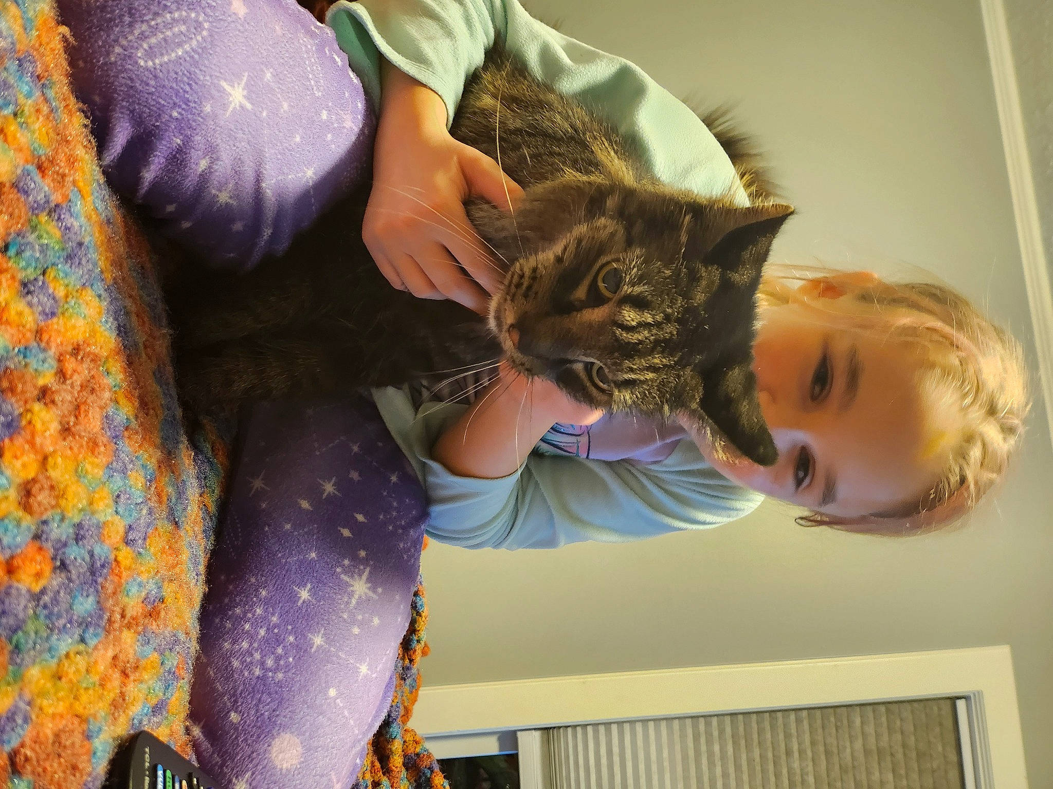 Bear joined the competition — help win amazing prizes! carnivore, cat, comfort, domestic_short_haired_cat, ear, electric_blue, felidae, fun, fur, gesture, human_leg, lap, nail, pattern, small_to_medium_sized_cats, visual_arts, whiskers, window