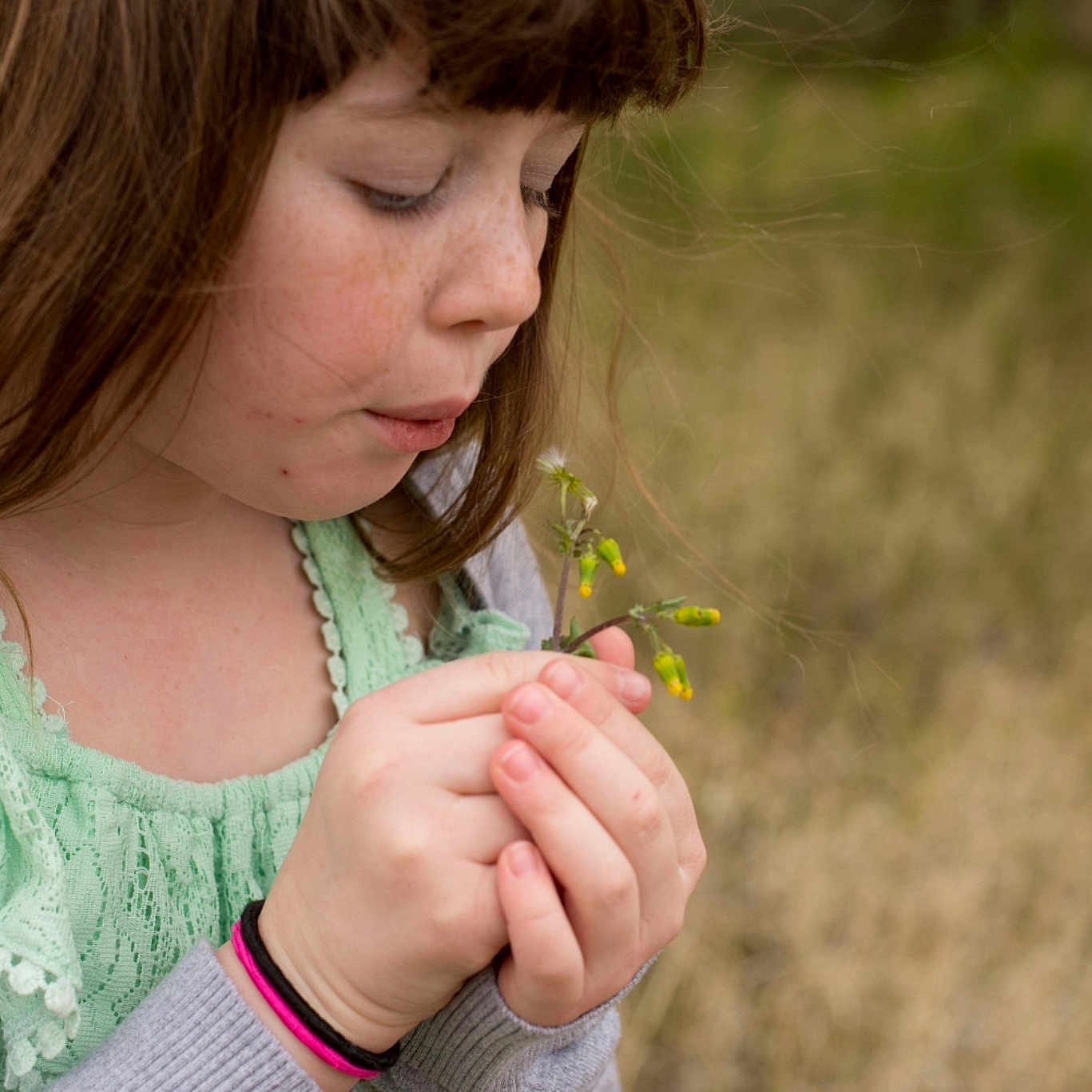 Annaliese joined the competition — help win amazing prizes! botany, brown_hair, child, dandelion, finger, flower, gesture, hand, leaf, person, photography, plant, skin, smile, spring, thumb, toddler