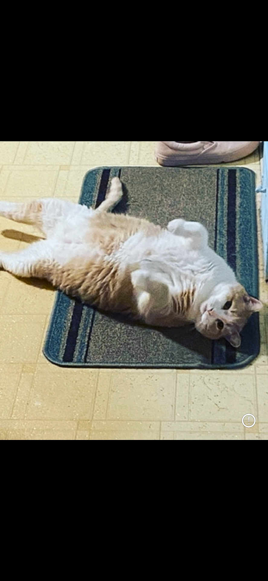 Fatboy