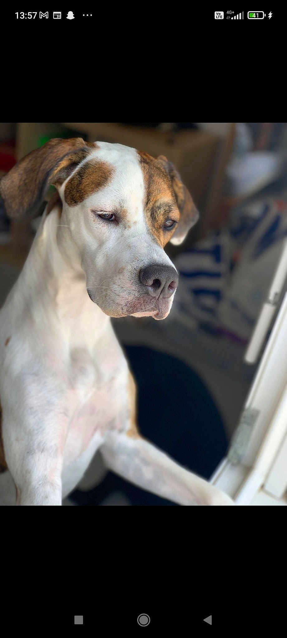 Nikita