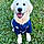 Balou