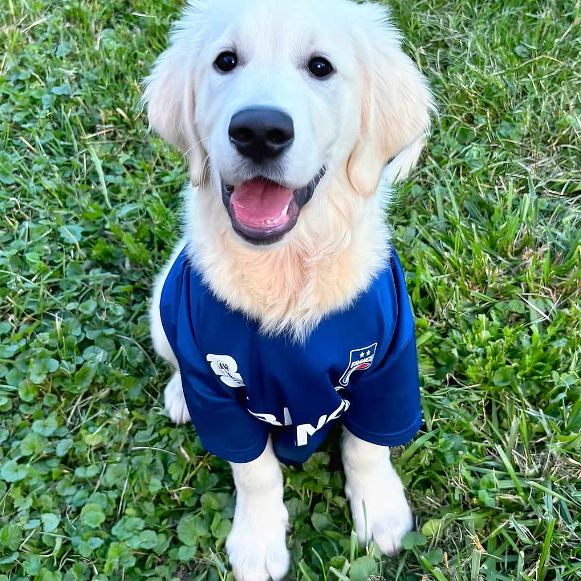 Balou