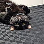 cat, black_cat, upside_down, yellow_eyes, fur, whiskers, collar, tablecloth, checkered_pattern, indoor, pet, cute, relaxed, playful, animal, feline, ears, nose, paws, lying_down