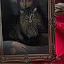 animal, art, cat, classic_art, creative, curtain, decor, face_blend, feline, frame, fur, green_trim, household, indoor, mona_lisa, painting, portrait, red_cloth, table, wood_floor