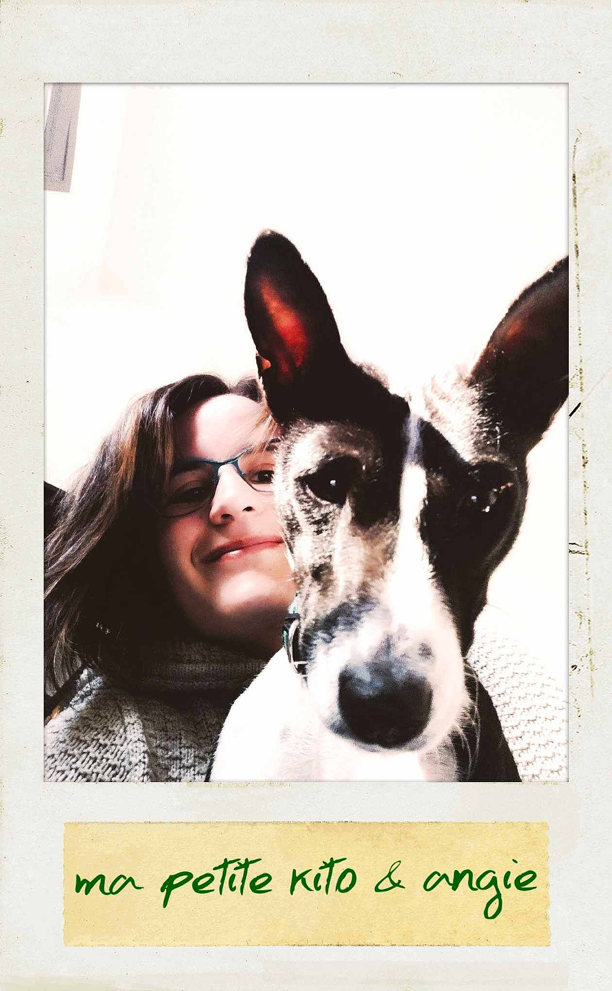 L'Thamani Kito a rejoint le concours — aidez-le/la à gagner de superbes lots ! advertising, boston_terrier, dog, dog_breed, dog_like_mammal, ear, person, photo_caption, poster, snout